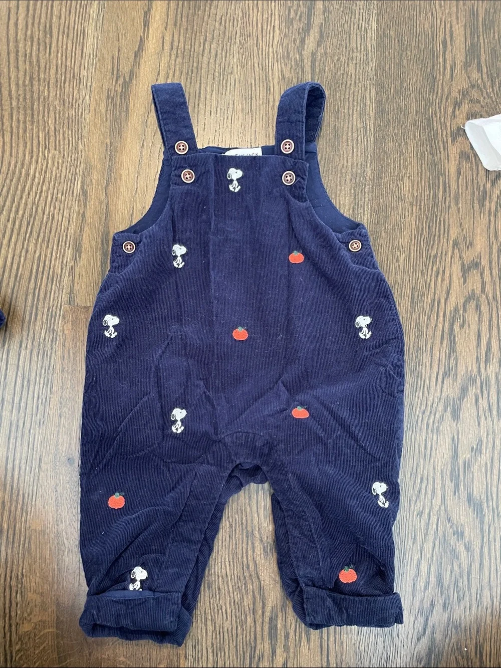 Janie and Jack Fall Sibling Set
